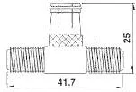 F MACHO RAPIDO - 2 F HEMBRAS — imagen 2