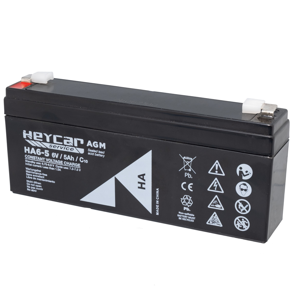 Batería 6V 5Ah HeyCar HA 169x35x70mm