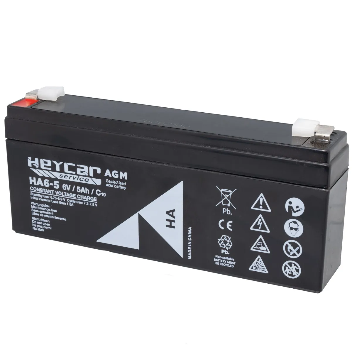 Batería 6V 5Ah HeyCar HA 169x35x70mm