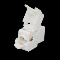 Keystone U/UTP Cat.6A hembra tool-less con tapa antipolvo