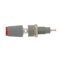 BANANA HEMBRA CHASIS, GRIS