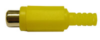 RCA HEMBRA, AMARILLO