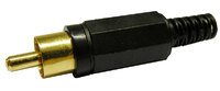 RCA MACHO DORADO, NEGRO