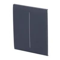 Ajax LightSwitch CenterButton 2-gang. Plusador Central Doble. Color Grafito