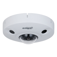 FishEye IP Panamorph H.265 8M DN IR10m 1.29mm IR10m IK10 IP67 Audio SD PoE MIC E/S