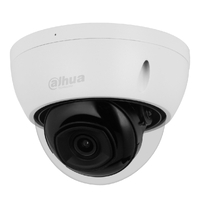 Dome IP H.265 2M DN WDR Starlight IR30m 2.8mm IK10 IP67 PoE SD AI