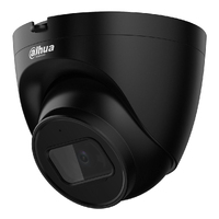 Dome IP H.265 2M DN SMART Starlight IVS IR30m 2.8mm IP67 PoE SD MIC color negro