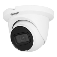 Dome IP H.265 2M DN WDR Starlight IR30m 2.8mm IP67 PoE SD MIC AI