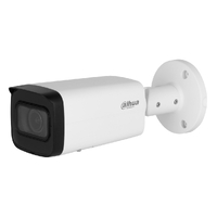 Bullet IP H.265 2M WDR Starlight IR60m 2.7-13.5VFM IP67 PoE SD MIC AI