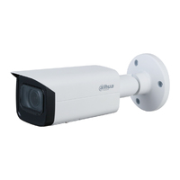 Bullet IP H.265 2M DN WDR Starlight IR60m 2.7-13.5VFM IP67 PoE SD AI