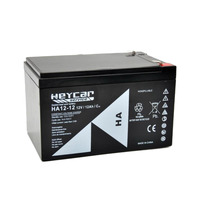 Batería 12V 12Ah HeyCar HC 151x98x95/101 (L x W x H)