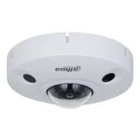 FishEye IP Panamorph H.265 12M DN IR10m 1.29mm IR10m IK10 IP67 Audio SD PoE MIC E/S AI
